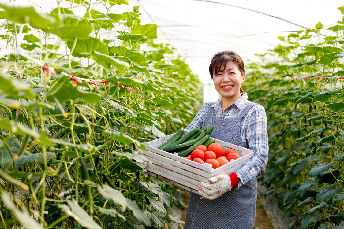 Suburban agriculture